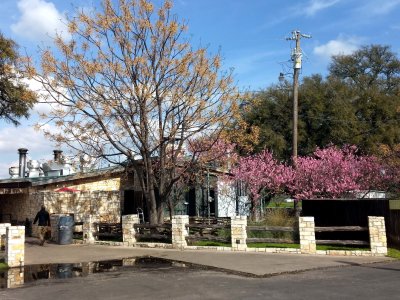 02 The Salt Lick, Round Rock 02.jpg
