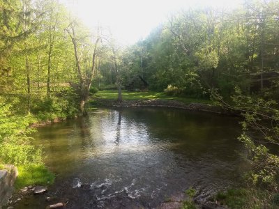 08 Irondequoit Creek along Auburn Trail near Fishers.jpg