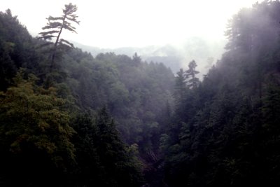 05 Misty valley 01.jpg