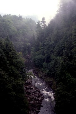 06 Misty valley 02.jpg