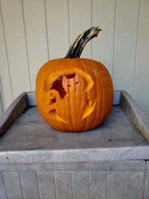 01 Our pumpkin 01.jpg