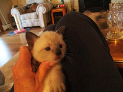 22 Baby Lily 01.jpg