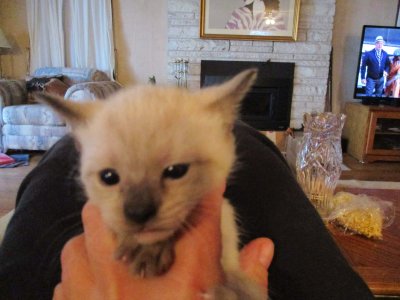 23 Baby Lily 02.jpg