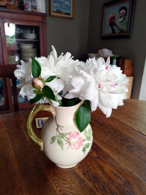 64 Flowers in a pitcher.jpg