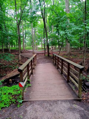 67 Trail in Tinker Nature Park.jpg