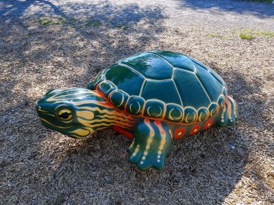79 Strange, still turtle near Canandaigua Lake.jpg