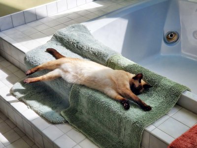 07 Lily sprawling.jpg