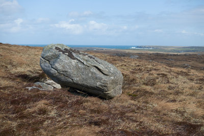 06.jpg
