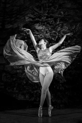 Ballerina | Ballettstudio Ost