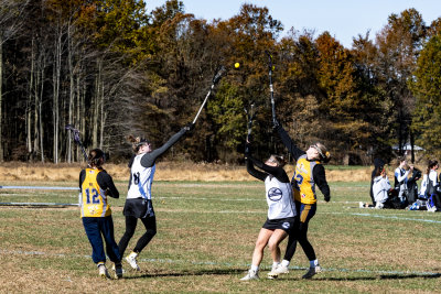 _DSC8011.jpg