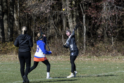 _DSC0204.jpg