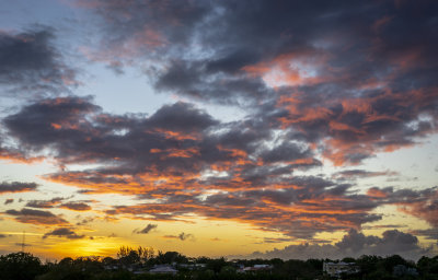 barbados_feb_2019