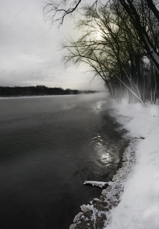 River shoreline near plant copy.jpg