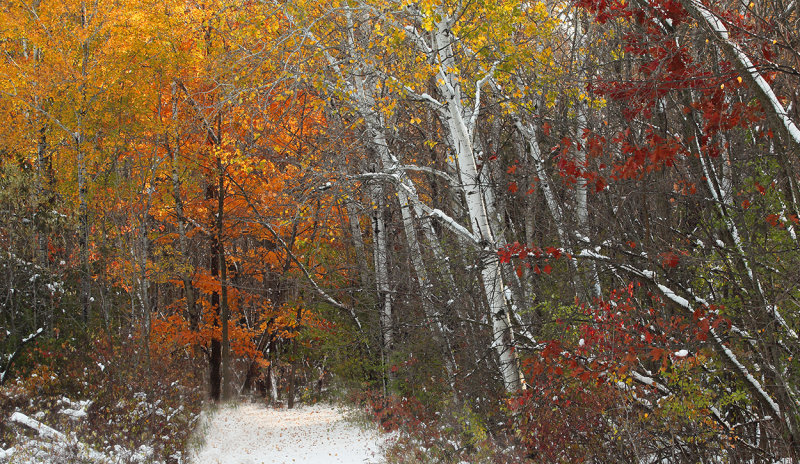 Elm Creek trail morning after copy.jpg