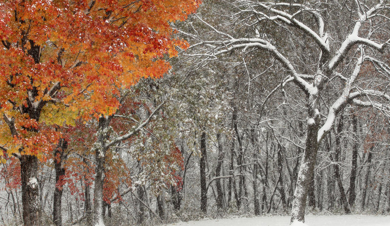 Elm Creek scene.jpg