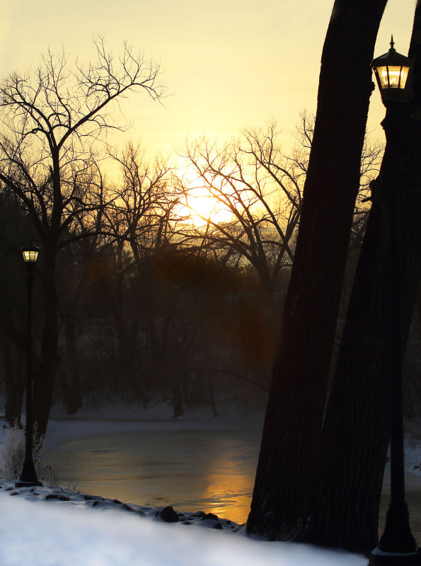 Mississippi River pond scene sunrise II copy.jpg