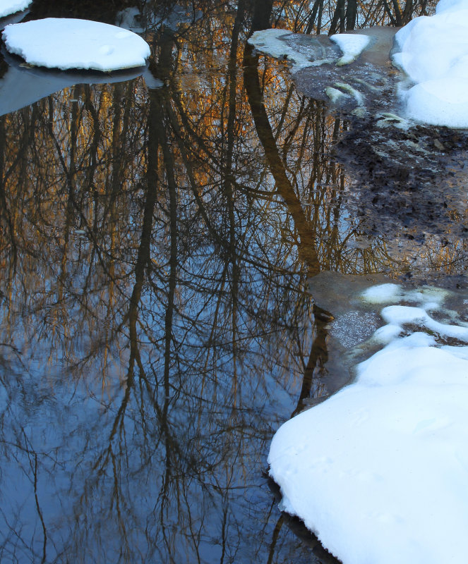 Vert Creek reflection copy.jpg