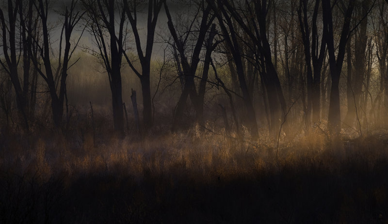 Morning light and fog backwaters of Mississippi river copy.jpg