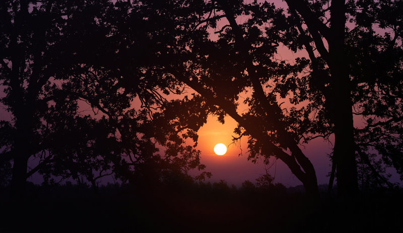 Sherburn NWR sunrise copy.jpg