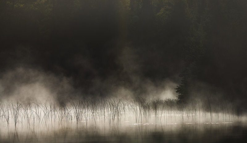 Elk Lake misty morning copy.jpg