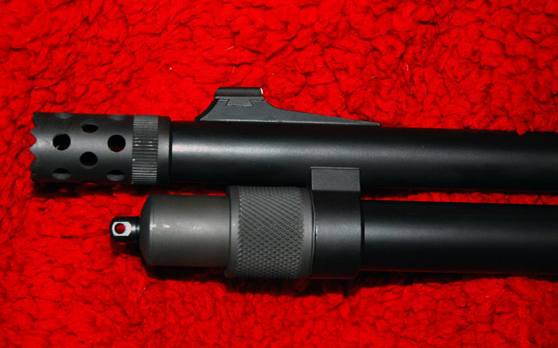 DSC_5598.JPG