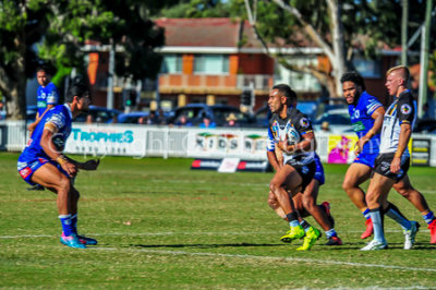 Newtown Rugby League 2019