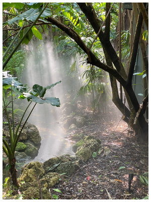 Fairchild Gardens.jpg