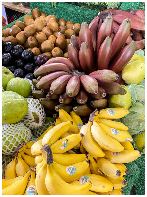 Farmer's Market Hollywood FL.jpg