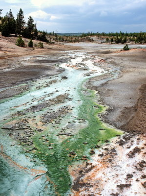 Colourful runoff