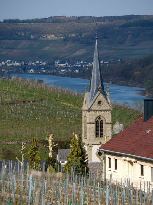 Early spring at the Moselle river