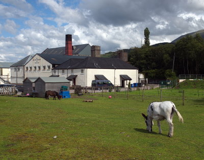 The Ben Nevis Distillery