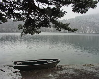 Winter at the lake