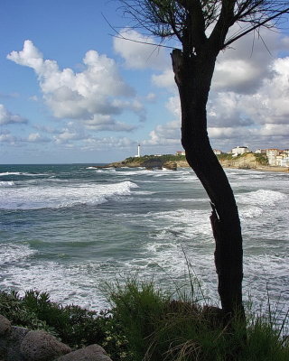 The coast in Biarritz