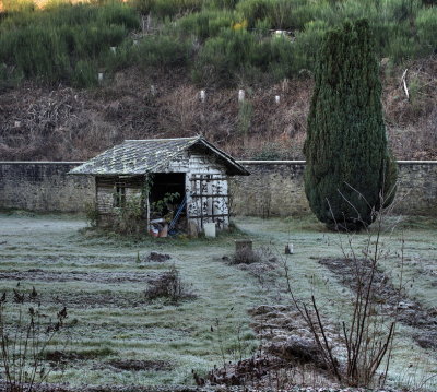 Sleeping garden