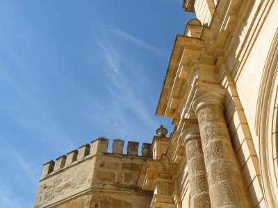 g12/68/923768/3/169525453.KXnjnkpv.jpg