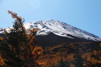 FALL COLORS HIGHLIGHT THE VIEWS OF MT FUJI