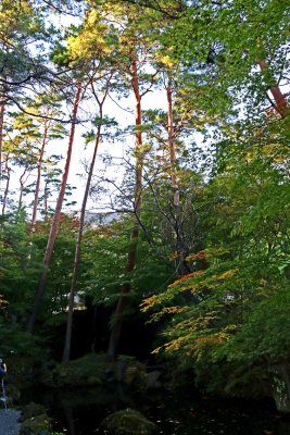 GROUNDS OF THE ITCHIKU KUBOTA MUSEUM - A AMAZING TEXTILE ARTIST