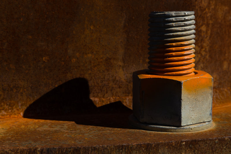 Portrait of a Bolt Processed-6631.jpg