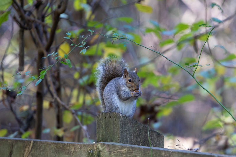 SusqStatePrkCatchOfTheDayUncropped-1315.jpg
