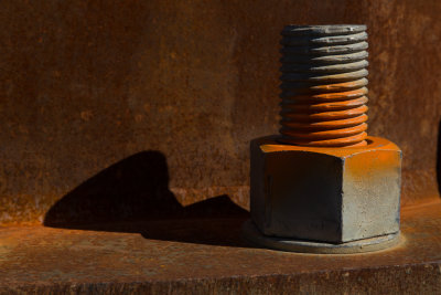 Portrait of a Bolt-6631.jpg