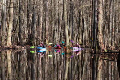 Kayakers TrapPond17MAR2020-7930.jpg