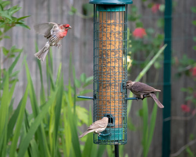 Room To Land-0197.jpg