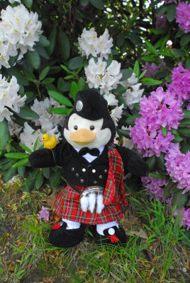 The Laird and his Rosiedenderums