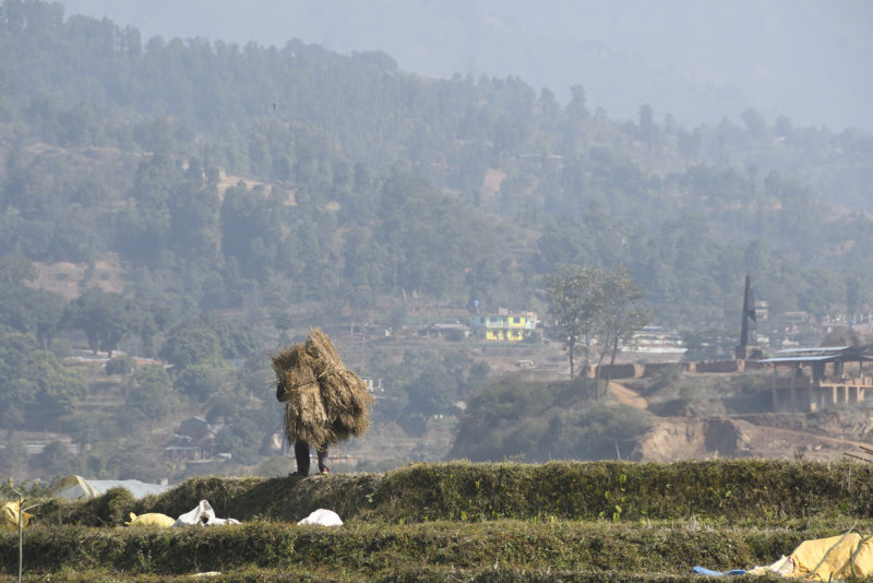 Nepal Life