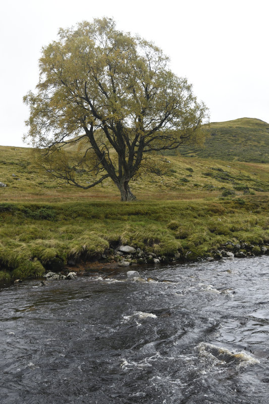 A week in Scotland