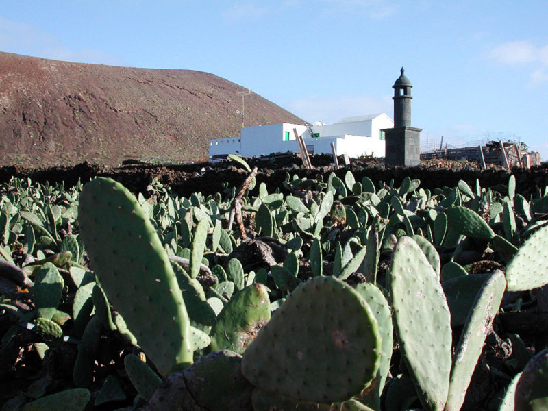 in village Guatiza,Lanzarote