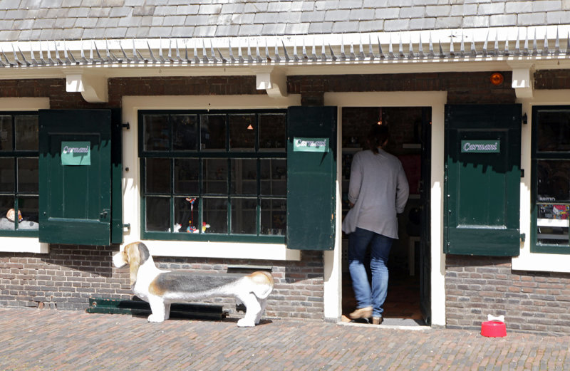Haarlem21.jpg