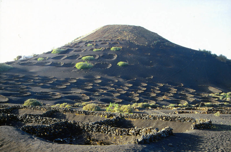 La Geria-Wine Region in Lanzarote