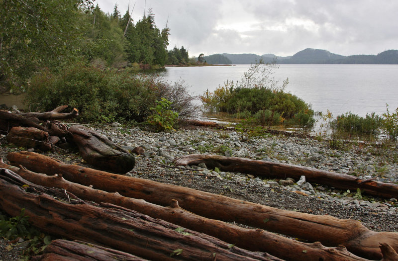 Pacific Rim Nat.Park,Canada