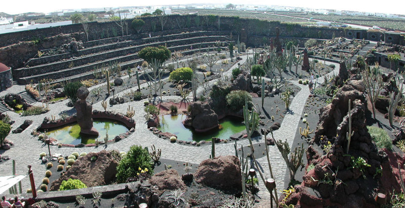 Jardin de Cactus - Cactus Garden in Lanzarote
